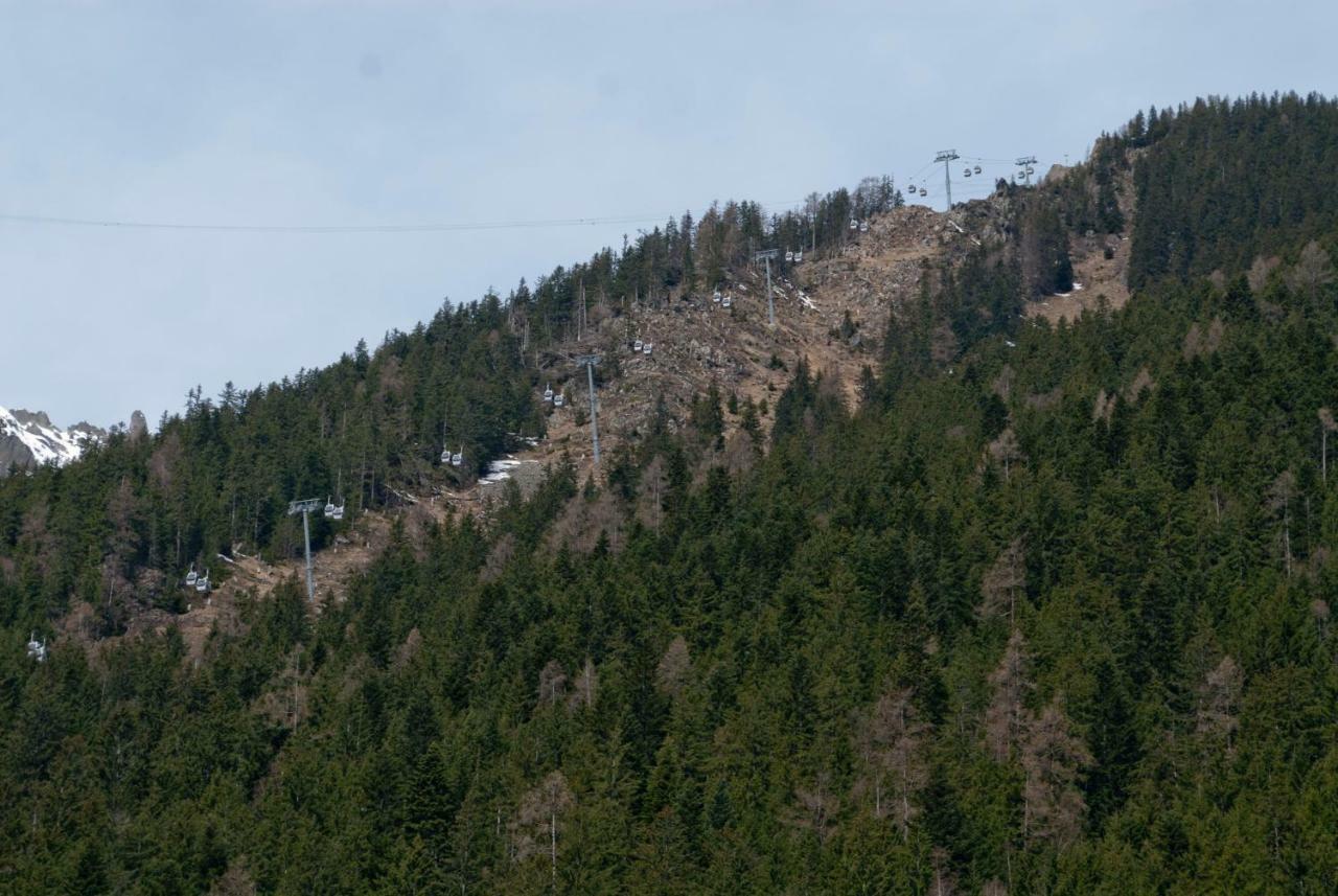 Front Ski Slope Chamonix Apartment 外观 照片